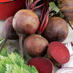 Suttons Beetroot Boltardy - Image
